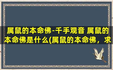 属鼠的本命佛-千手观音 属鼠的本命佛是什么(属鼠的本命佛，求福拜千手观音，解密观音菩萨保佑的意义与功德)